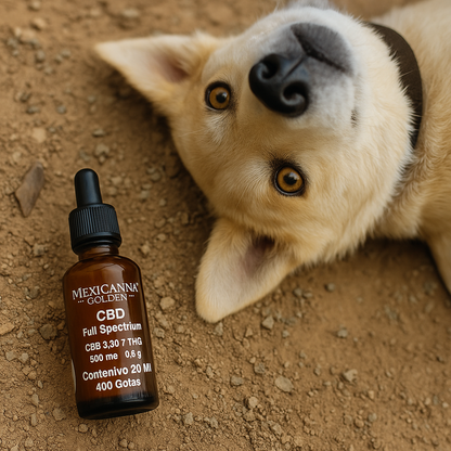 CBD Pet Oil